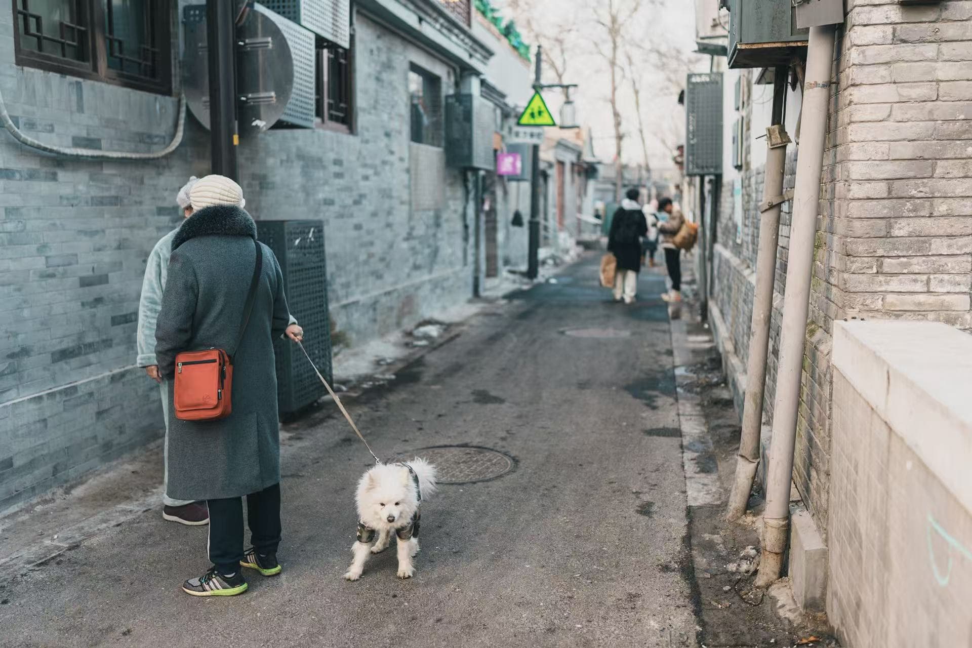 Beijing hutong