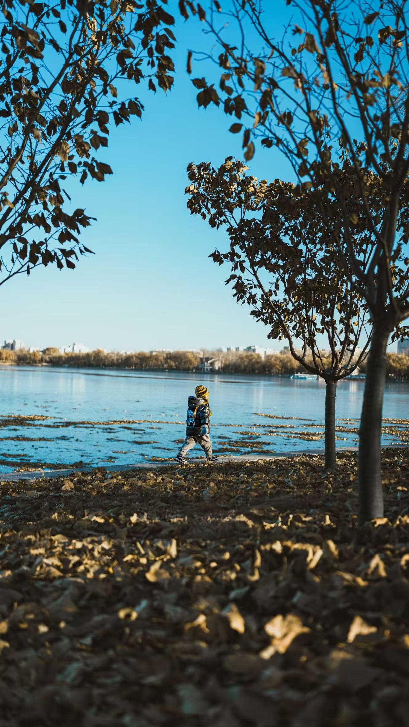 Boy enjoying autumn