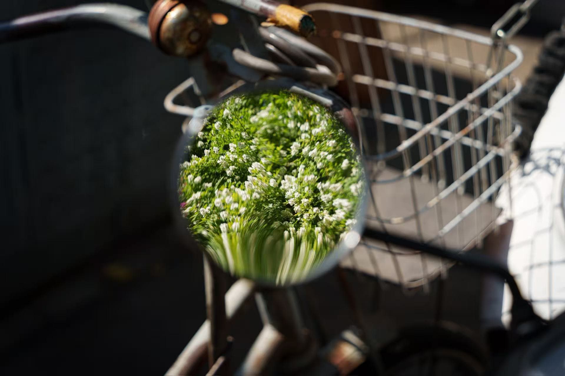 Flowers in mirror